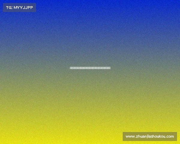 网球比赛实时比分更新与显示技术探析如何提升赛事观众体验